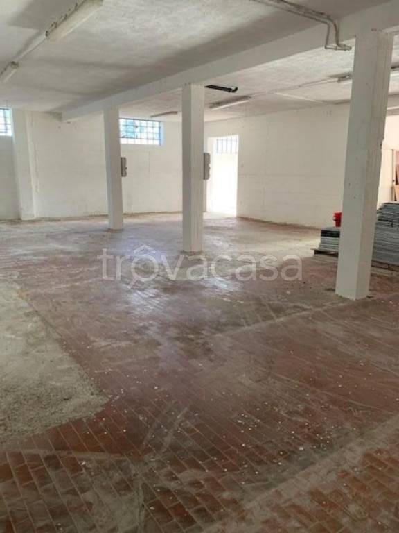 immagine annuncio 9 di 11