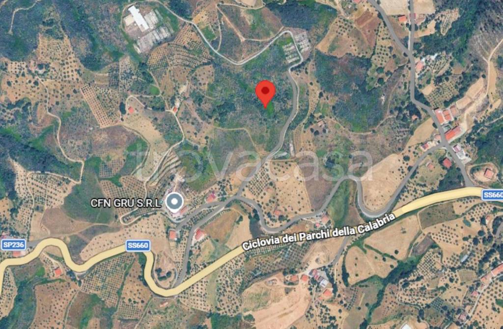 immagine annuncio 5 di 11