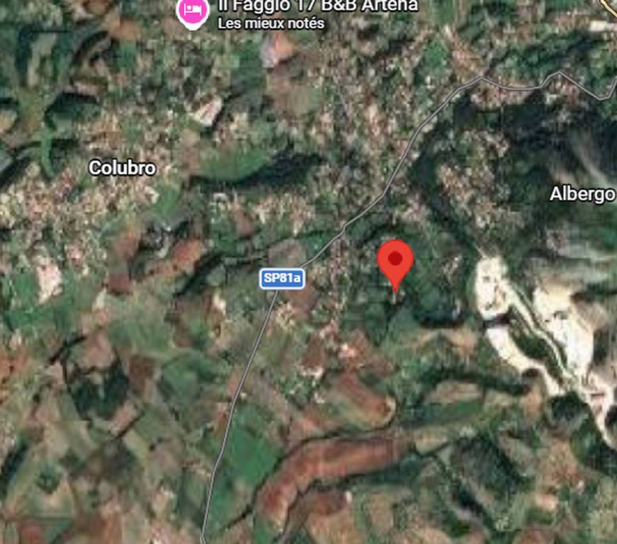 immagine annuncio 7 di 15