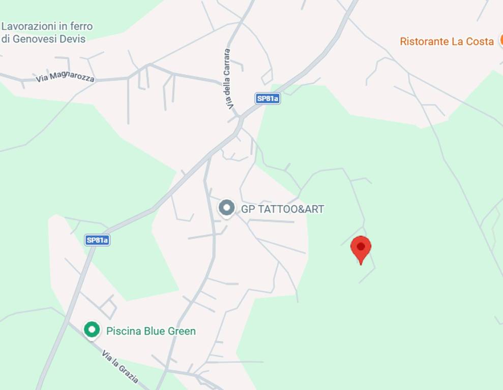 immagine annuncio 11 di 15