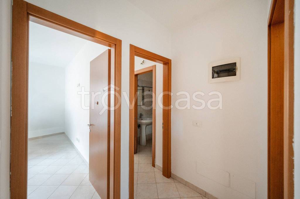 immagine annuncio 7 di 14