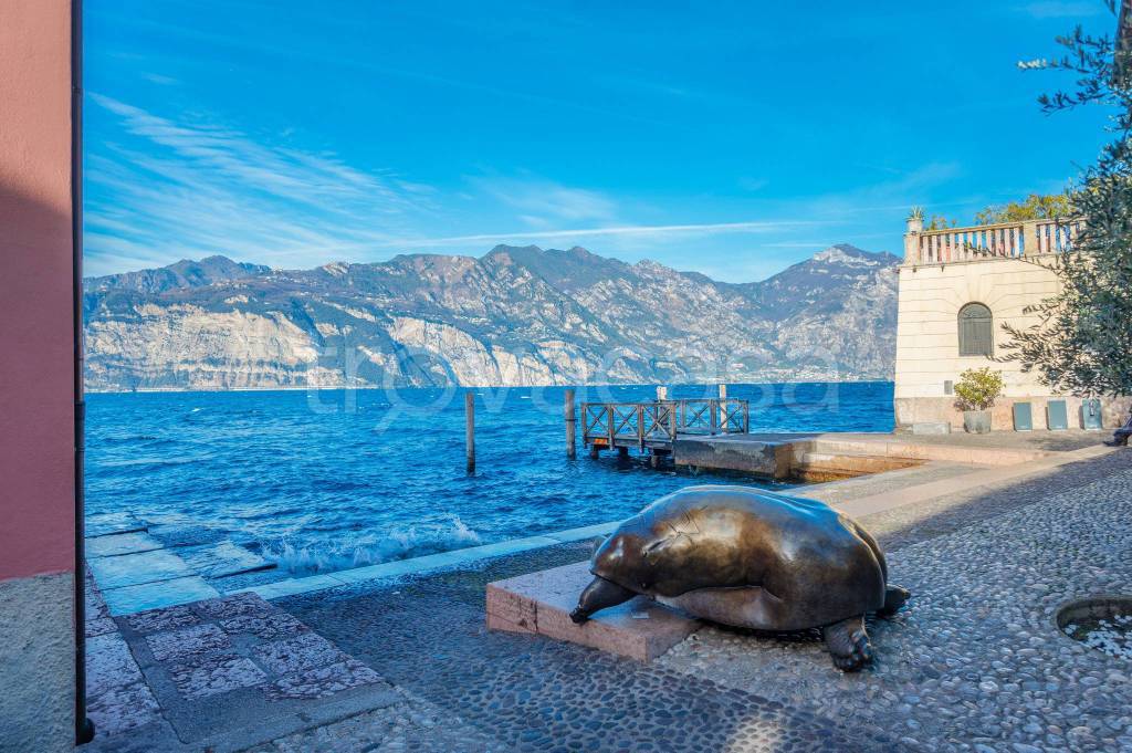 immagine annuncio 11 di 14