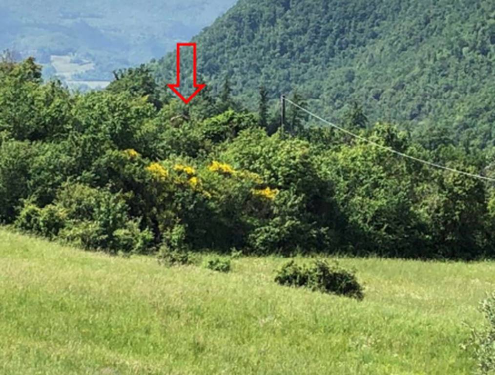 immagine annuncio 5 di 13