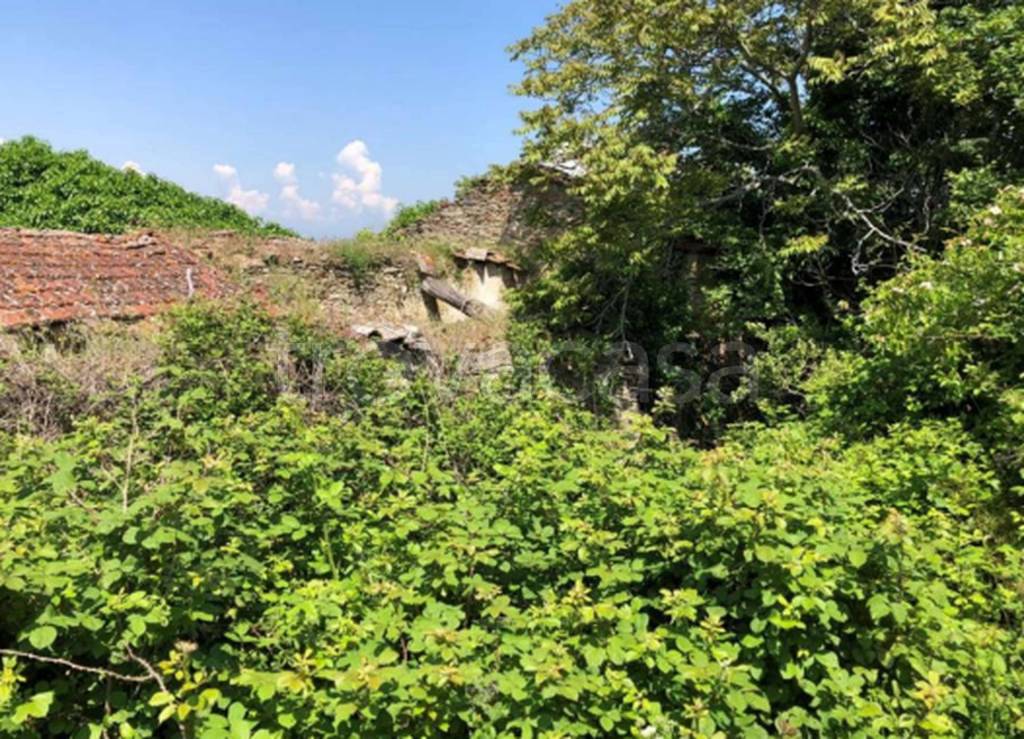 immagine annuncio 6 di 13