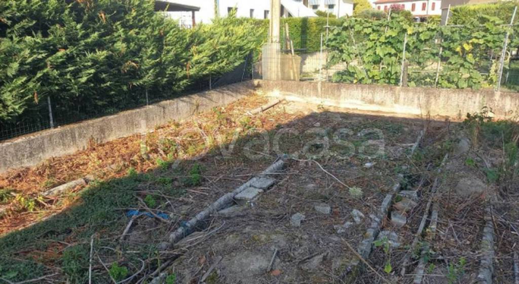 immagine annuncio 3 di 11