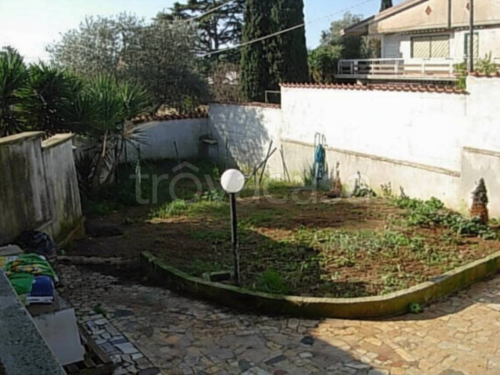 immagine annuncio 1 di 2