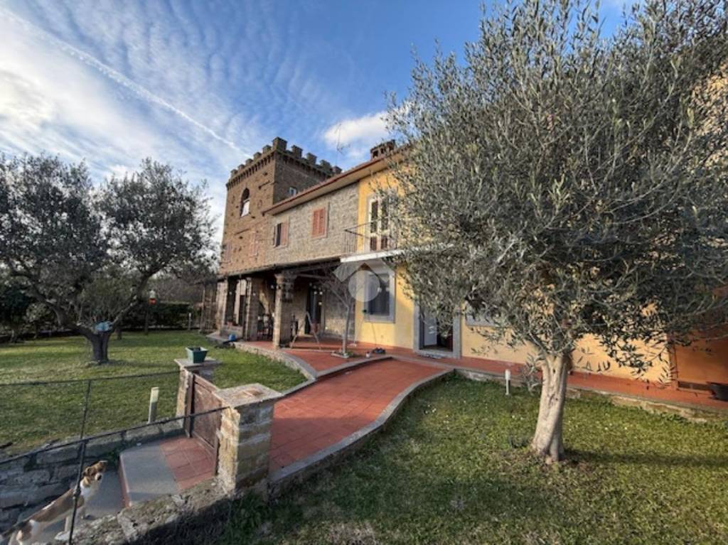 immagine annuncio 3 di 15