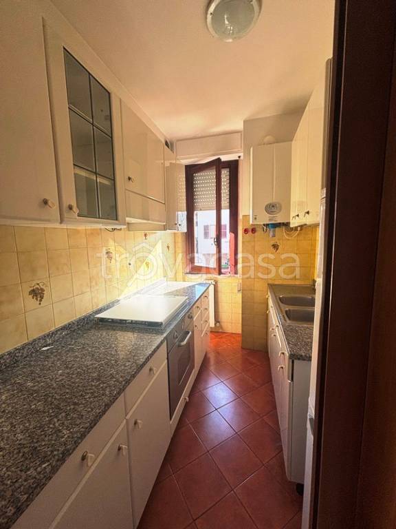 immagine annuncio 3 di 14