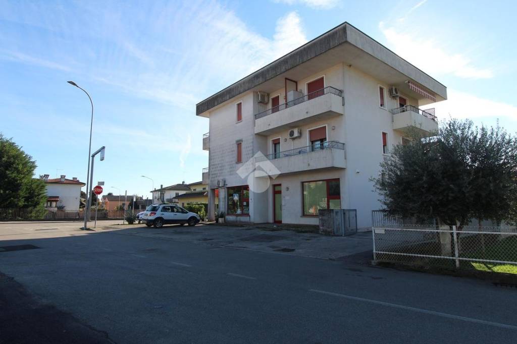 immagine annuncio 2 di 14