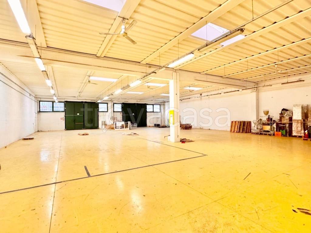 immagine annuncio 1 di 8