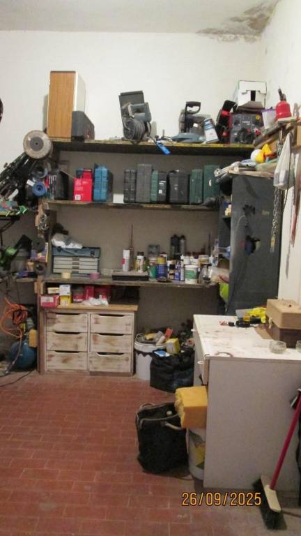 immagine annuncio 3 di 12