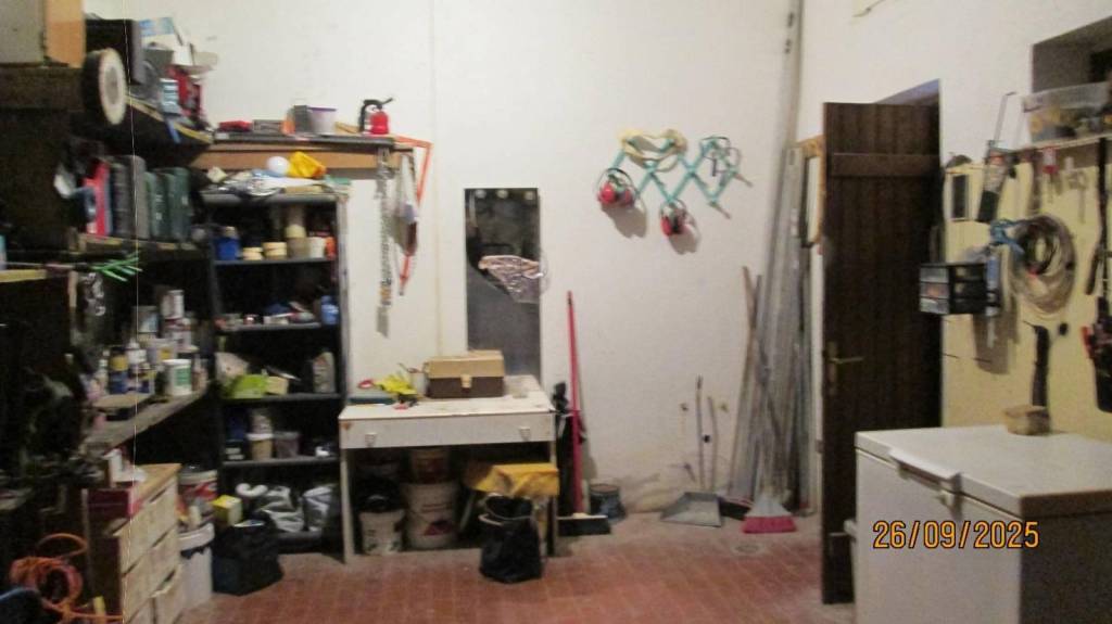 immagine annuncio 4 di 12