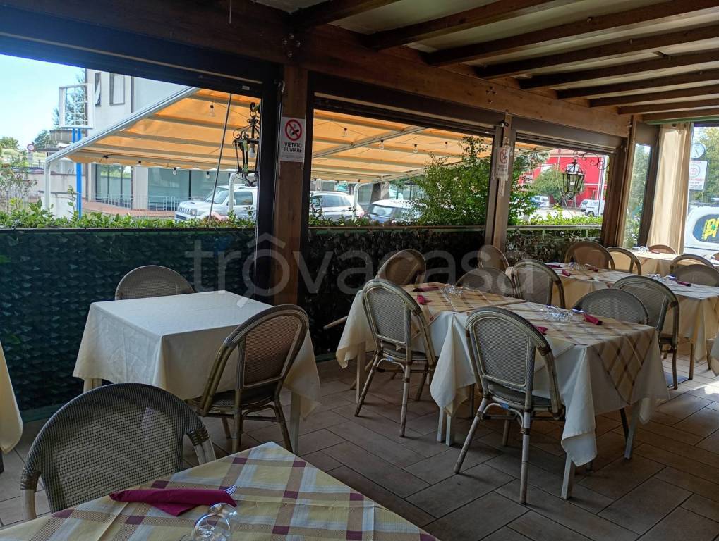 immagine annuncio 12 di 13