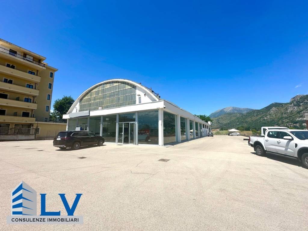 immagine annuncio 3 di 12