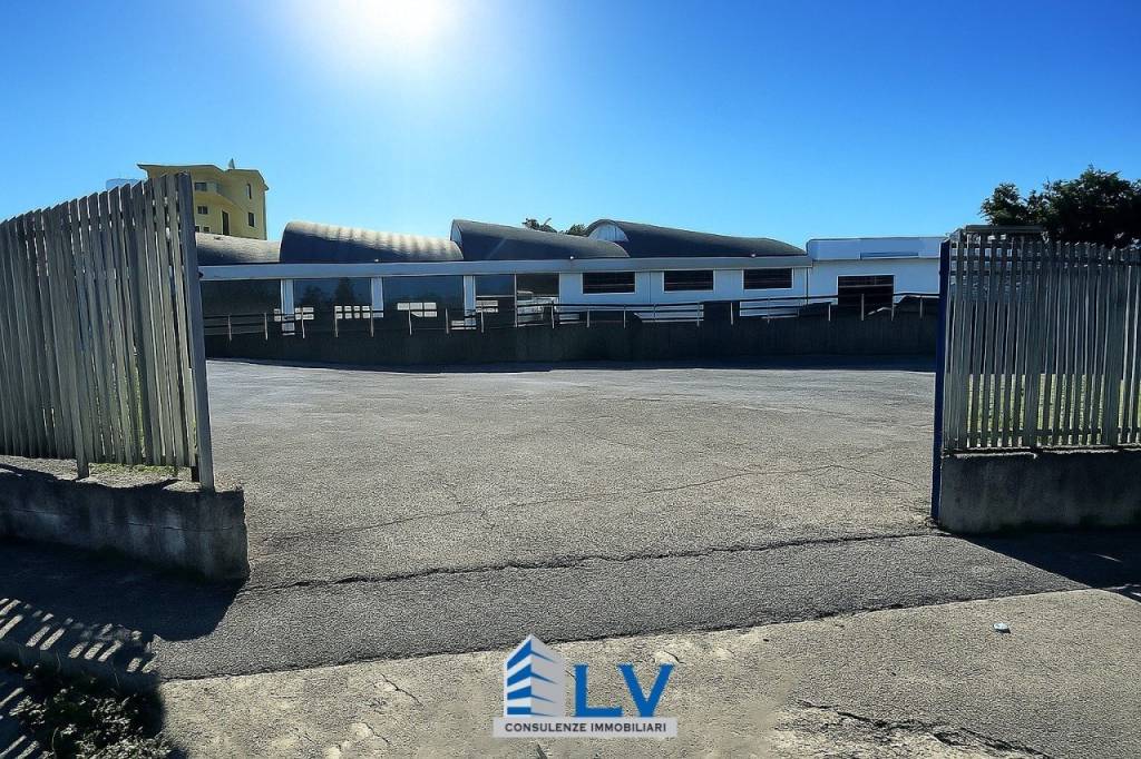 immagine annuncio 5 di 12