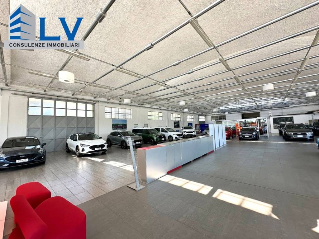 immagine annuncio 10 di 12