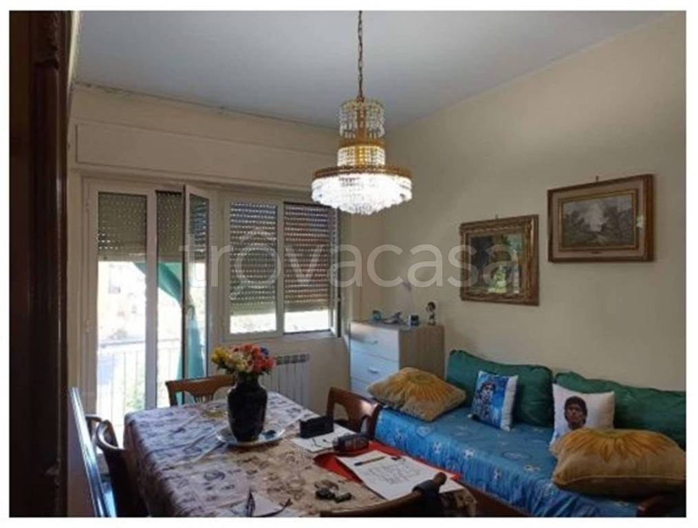 immagine annuncio 10 di 14