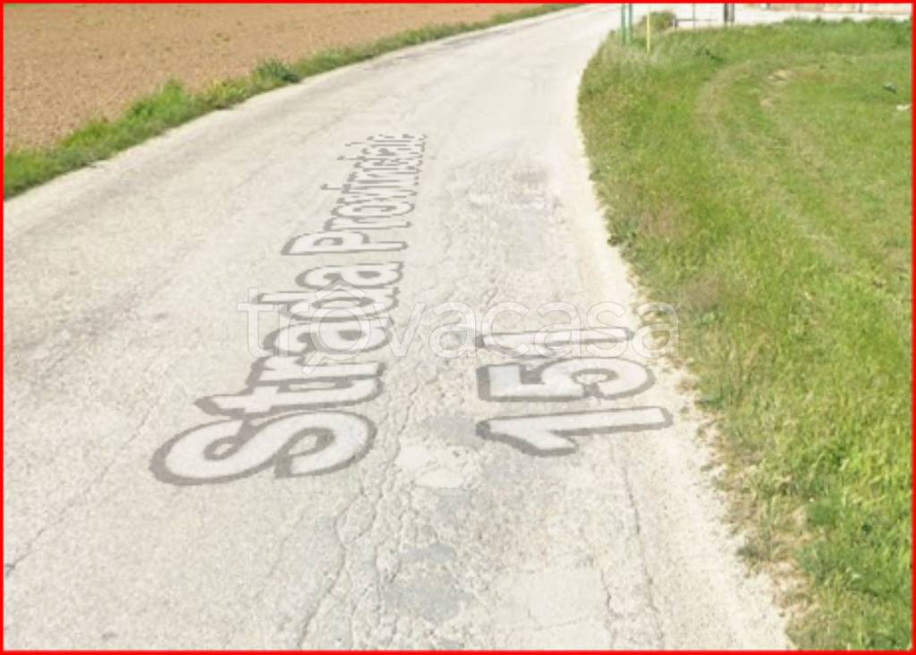 immagine annuncio 3 di 12