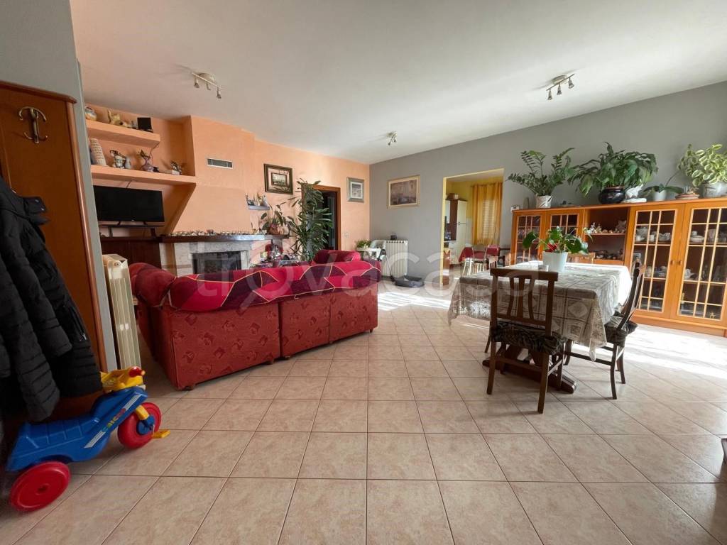 immagine annuncio 11 di 15