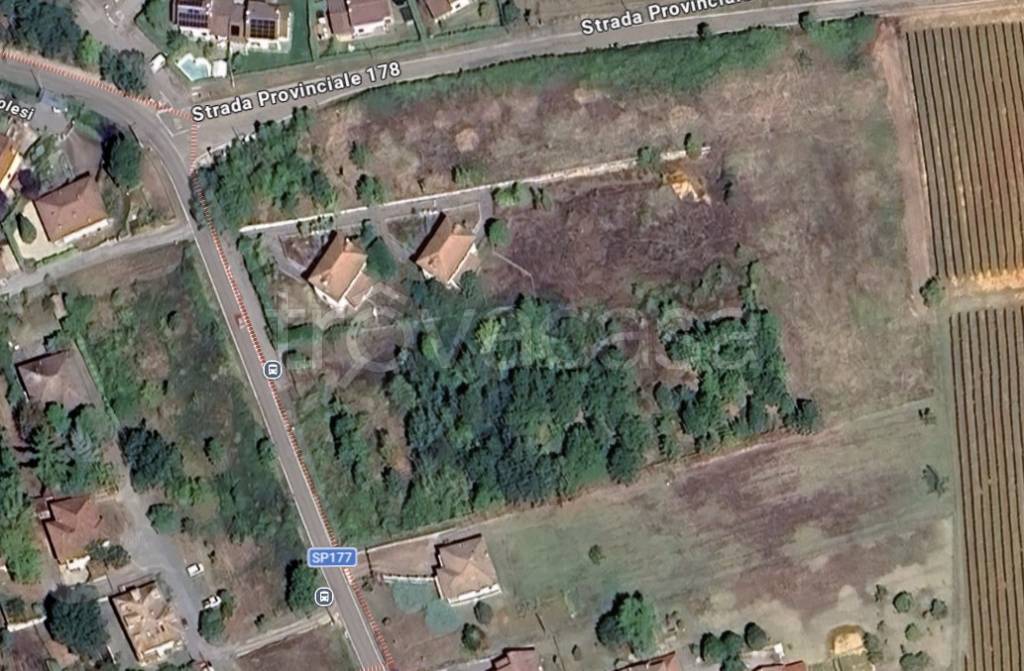 immagine annuncio 2 di 9