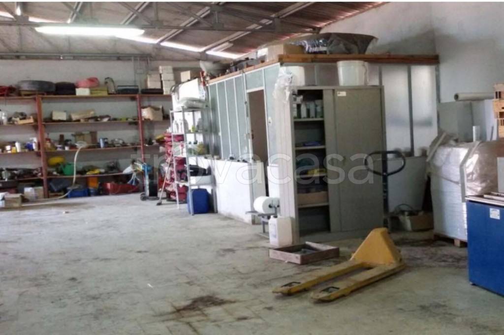 immagine annuncio 2 di 15