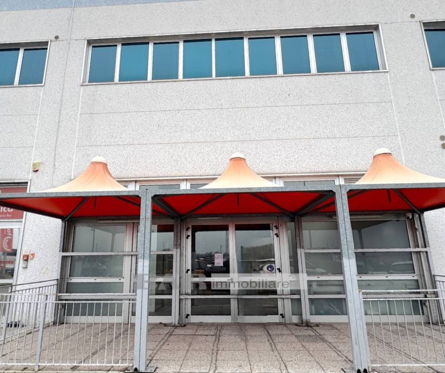 immagine annuncio 2 di 14