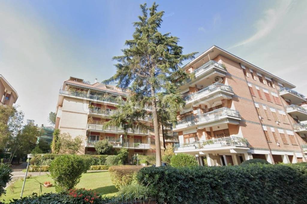 immagine annuncio 1 di 4