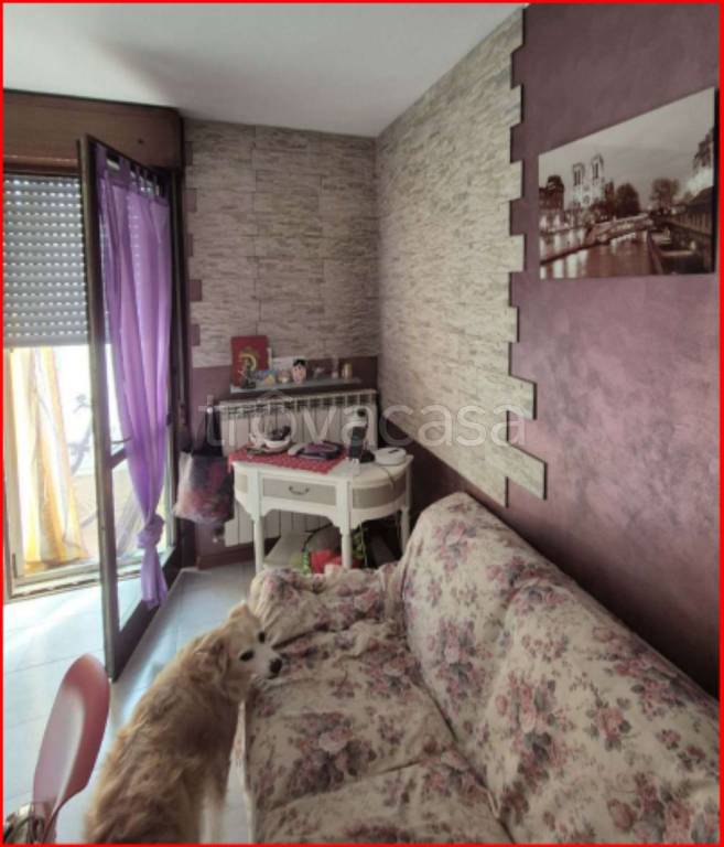 immagine annuncio 5 di 12