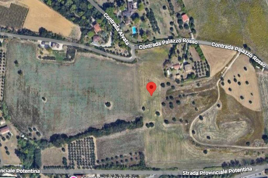 immagine annuncio 4 di 12