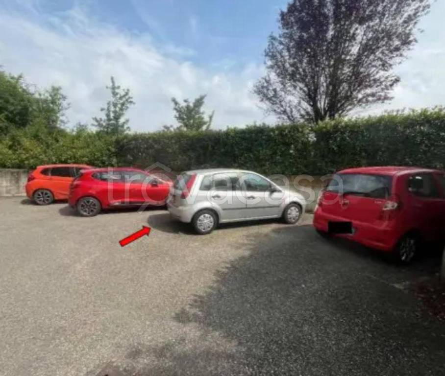 immagine annuncio 10 di 12