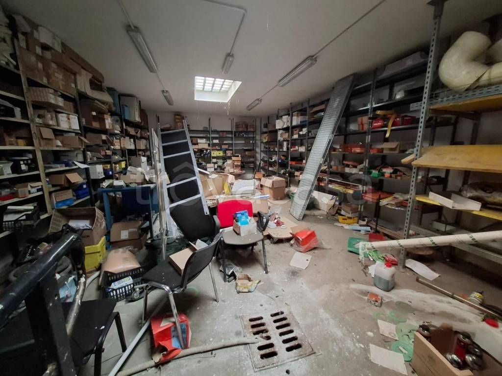 immagine annuncio 7 di 15