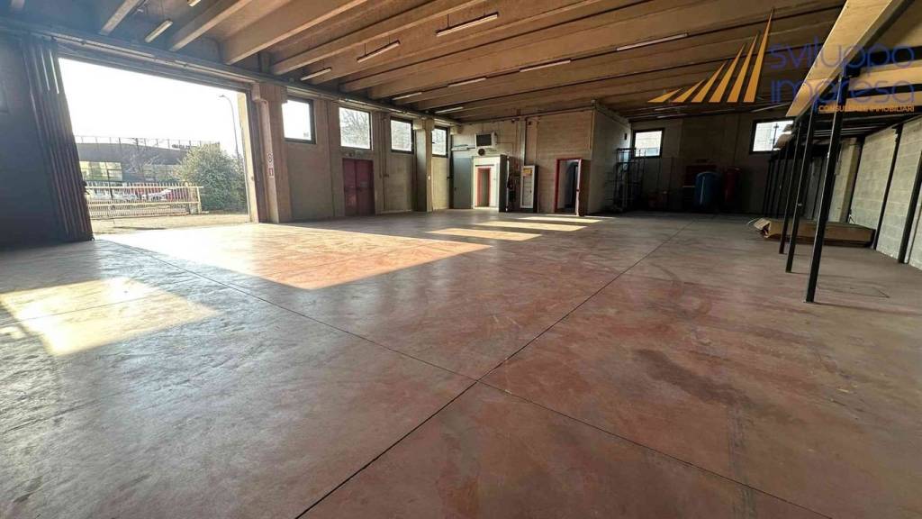 immagine annuncio 6 di 15