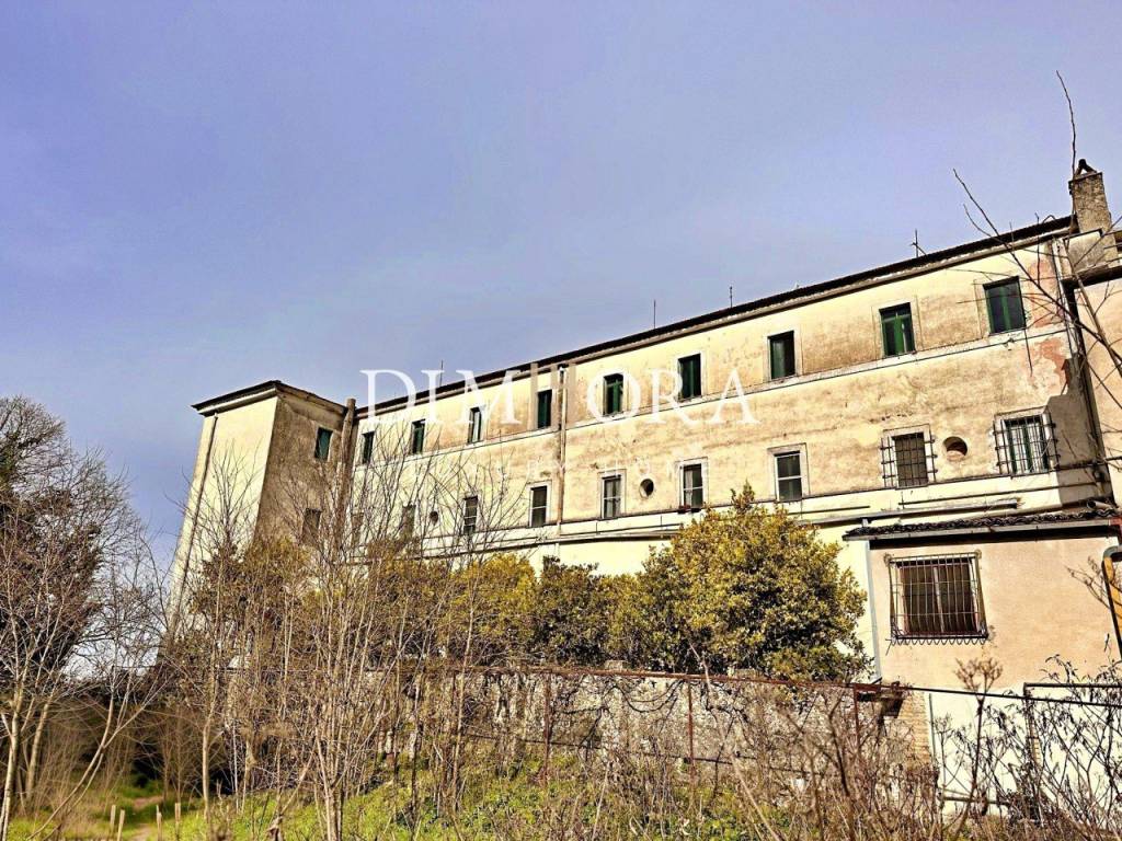 immagine annuncio 2 di 12