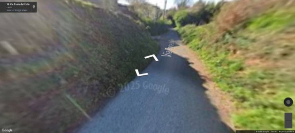 immagine annuncio 10 di 14