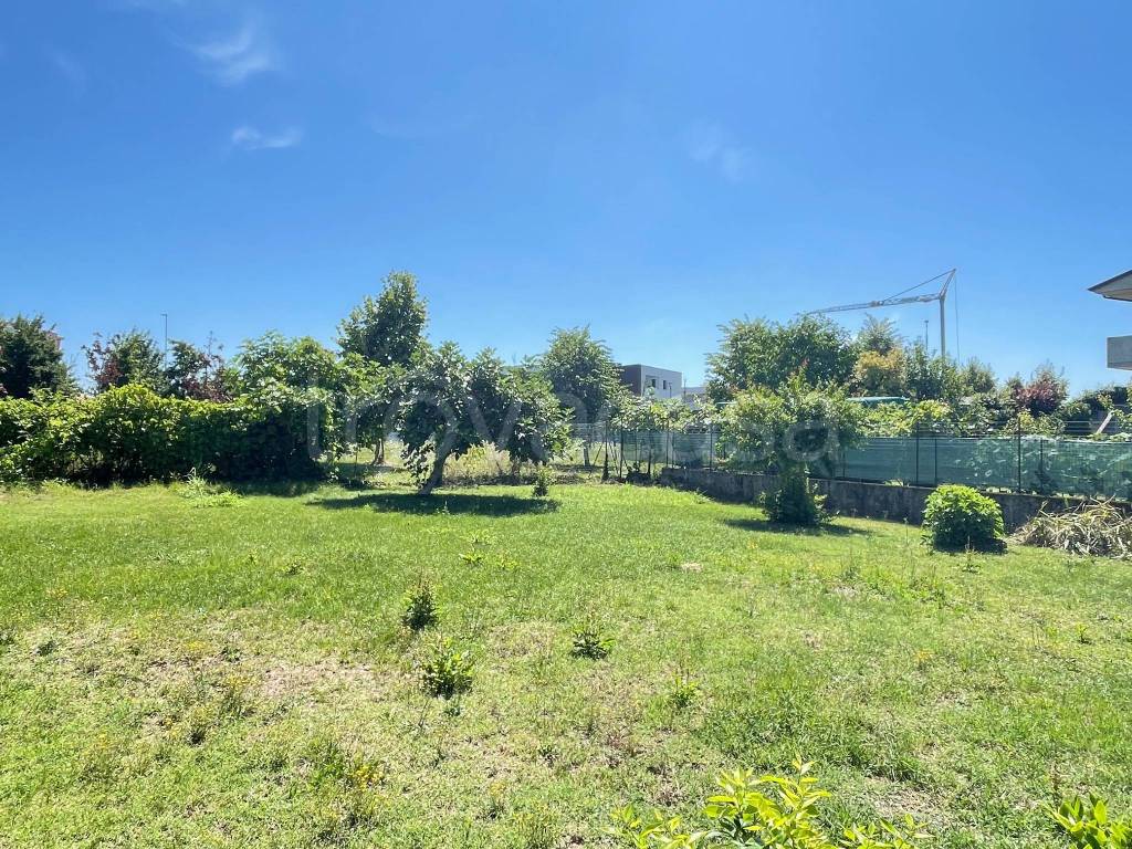 immagine annuncio 9 di 13