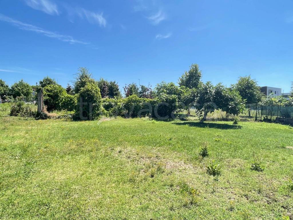 immagine annuncio 11 di 13