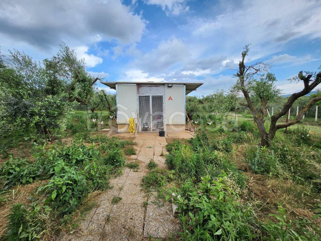 immagine annuncio 14 di 15