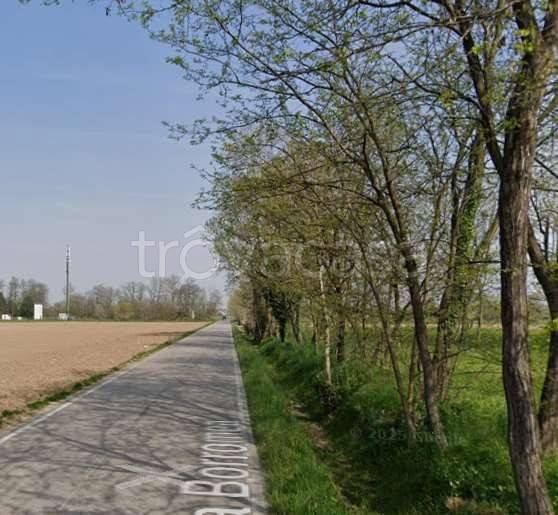 immagine annuncio 6 di 11