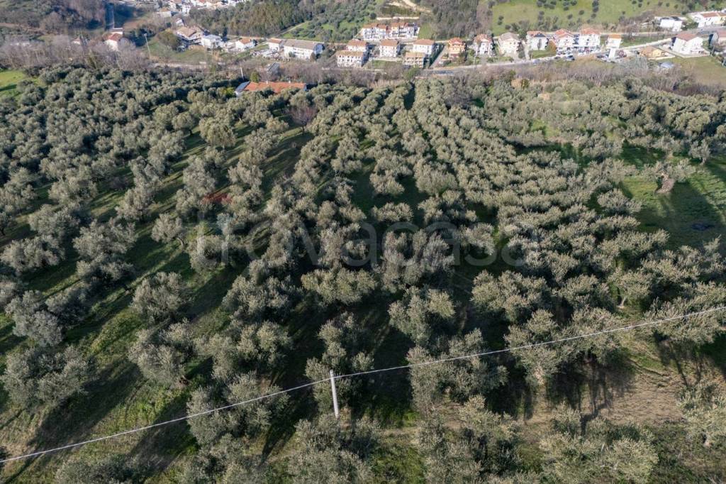 immagine annuncio 4 di 8