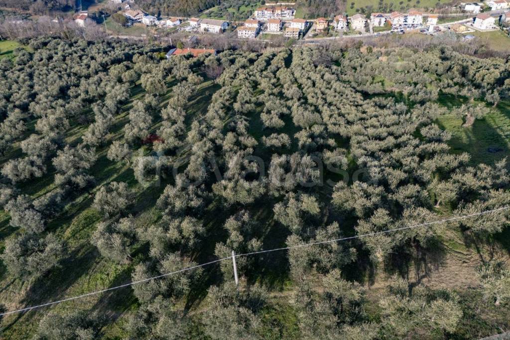 immagine annuncio 5 di 8