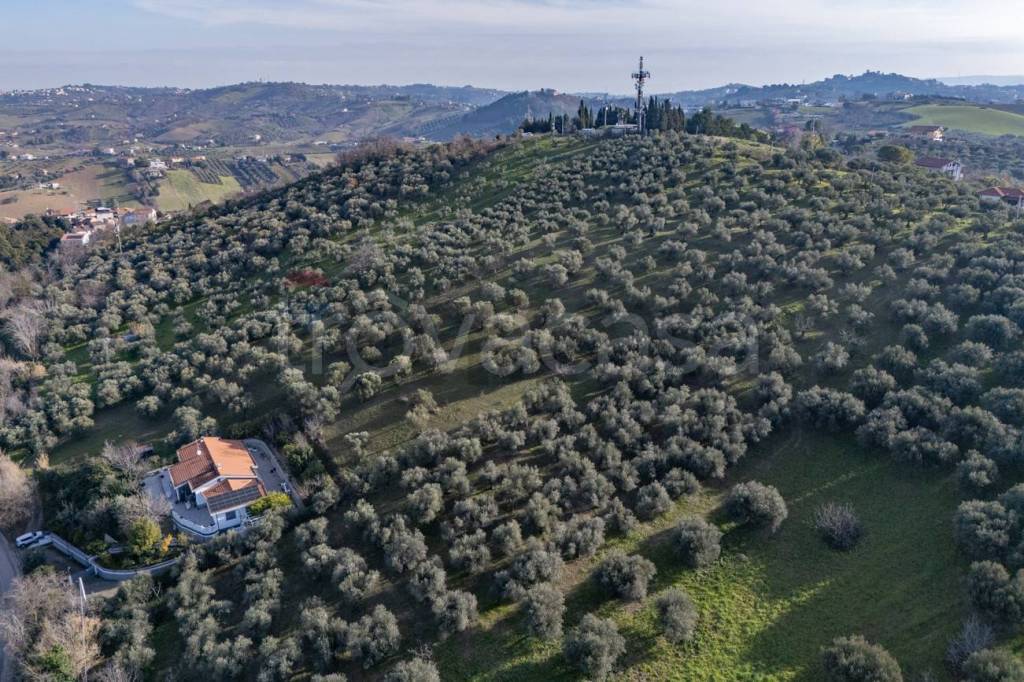 immagine annuncio 6 di 8