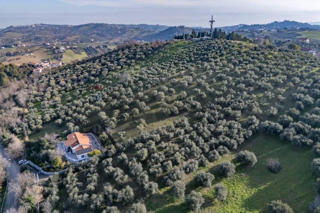 immagine annuncio 7 di 8