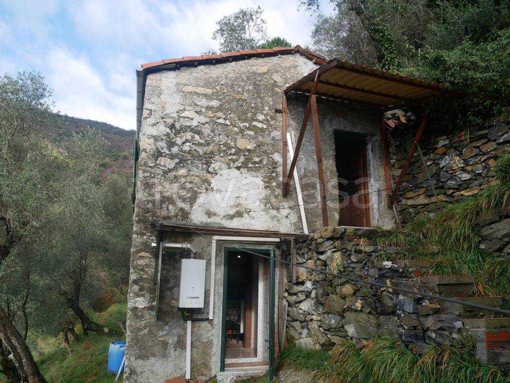 immagine annuncio 7 di 14