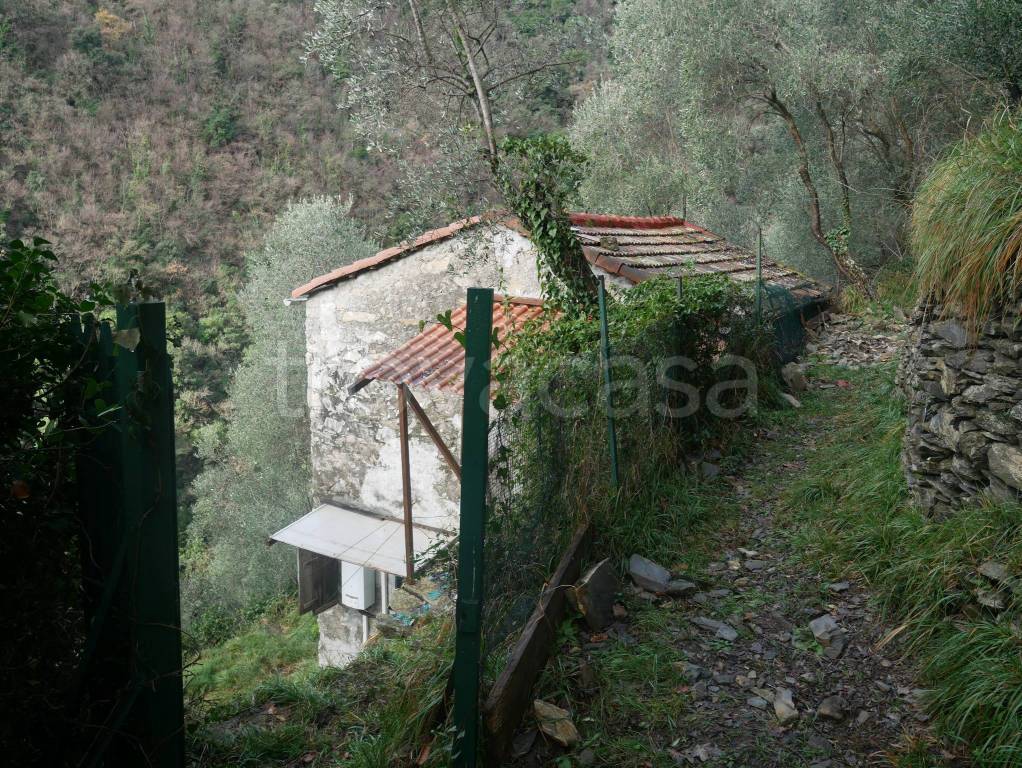 immagine annuncio 5 di 14