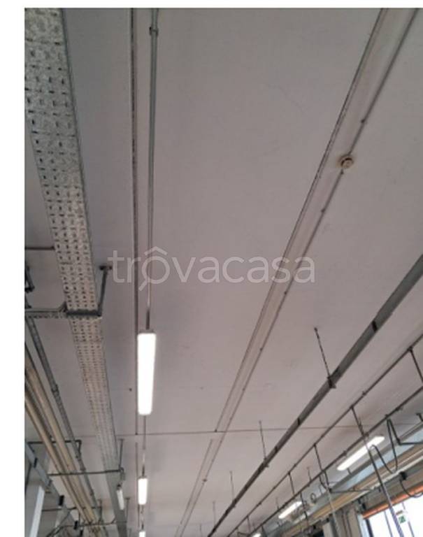 immagine annuncio 4 di 12