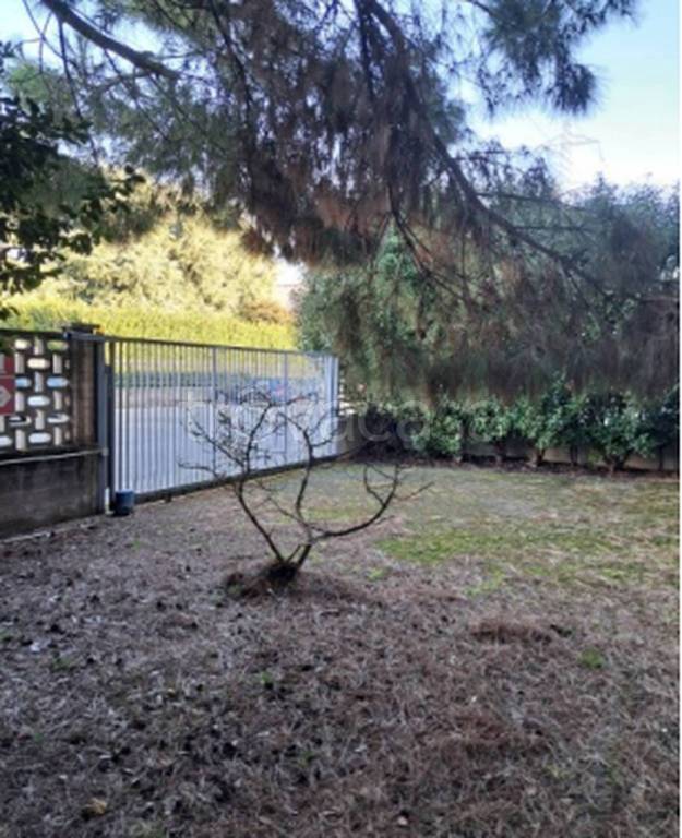 immagine annuncio 7 di 12