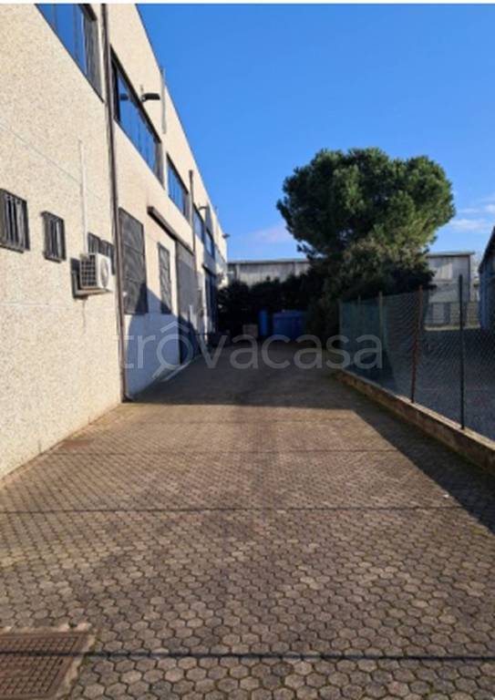 immagine annuncio 8 di 12