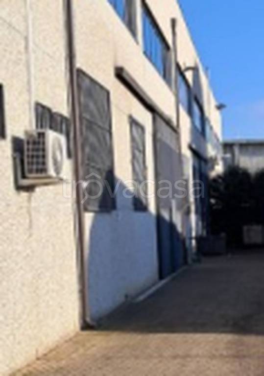 immagine annuncio 9 di 12