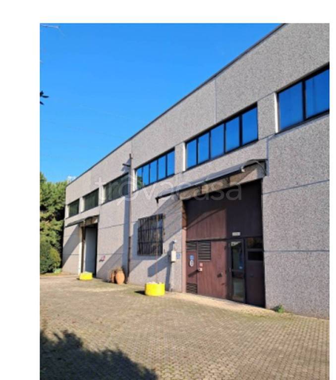 immagine annuncio 11 di 12