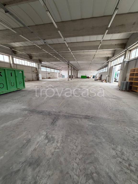 immagine annuncio 6 di 11